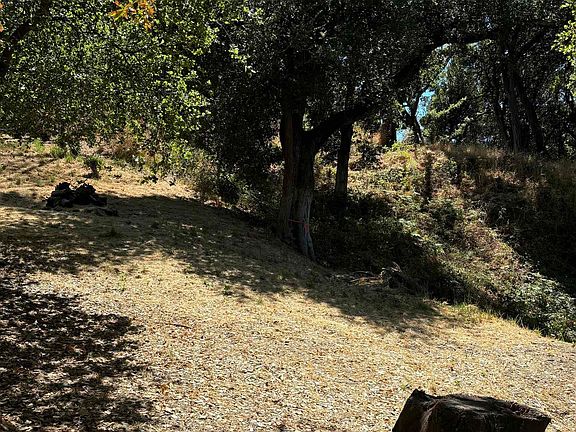 2nd image of Spring Rd