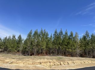 754 Freedom Ring Dr LOT 32, Brandon, MS 39047