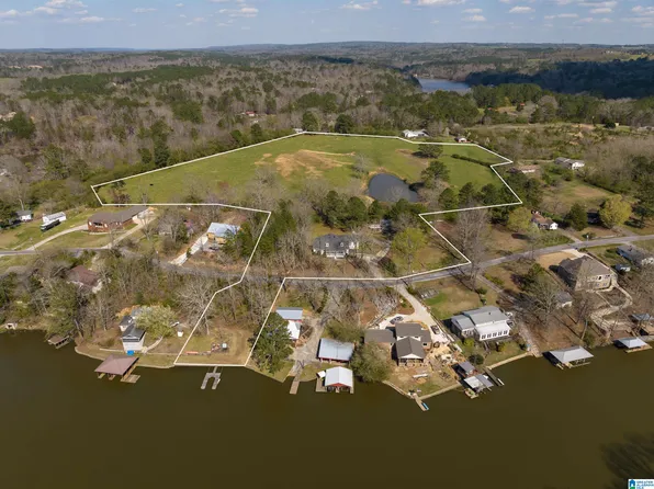 401 Lakeshore Ln, Oneonta, AL 35121
