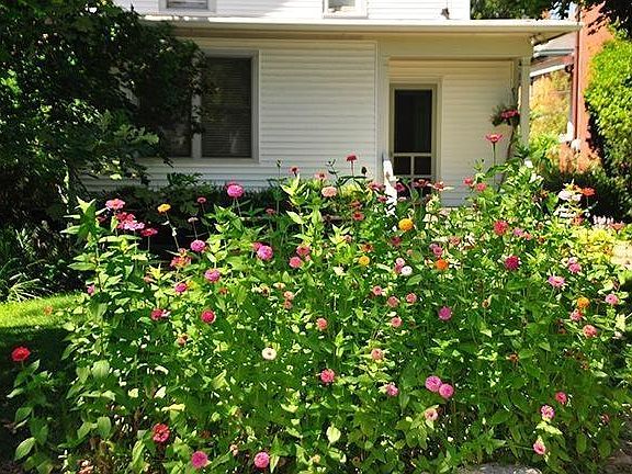 4th image of 3528 Saint Charles Pl