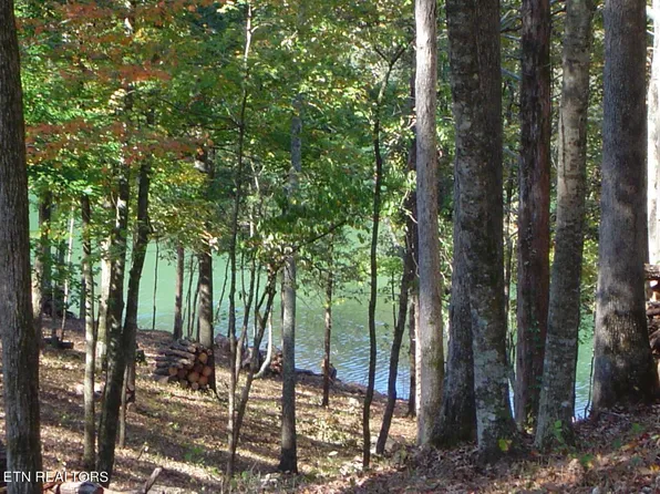 LOT 125 Saddleridge Dr, Speedwell, TN 37870