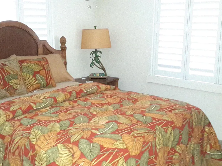 SINGLE-STORY COTTAGE MASTER BEDROOM WITH WALK-IN CLOSET