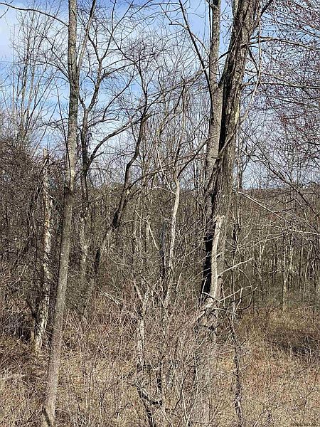 3rd image of COUNTY RT 408 #Parcel 127.-1-20