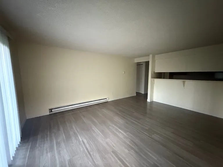 Hazel Dell Ridge Apt — Photo 3