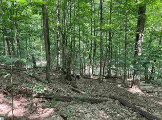 0 Honey Hollow Rd, Bellaire, MI 49615