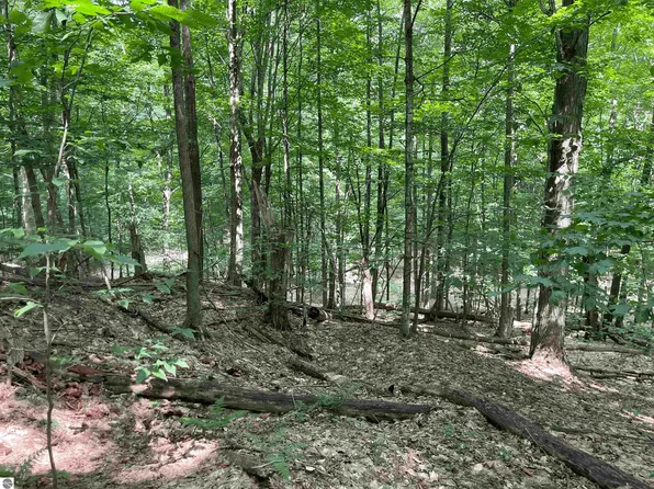 0 Honey Hollow Rd, Bellaire, MI 49615