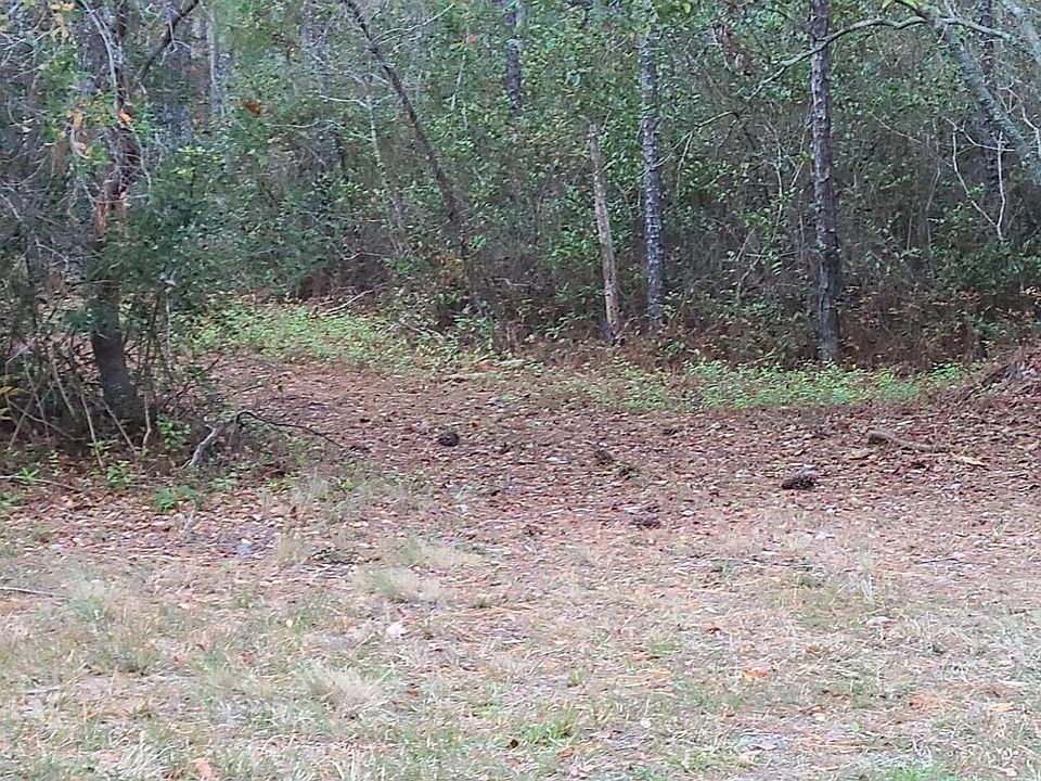 2nd image of 0 E Bear Branch Drive