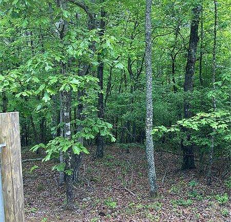 4th image of 0 Crest View Dr