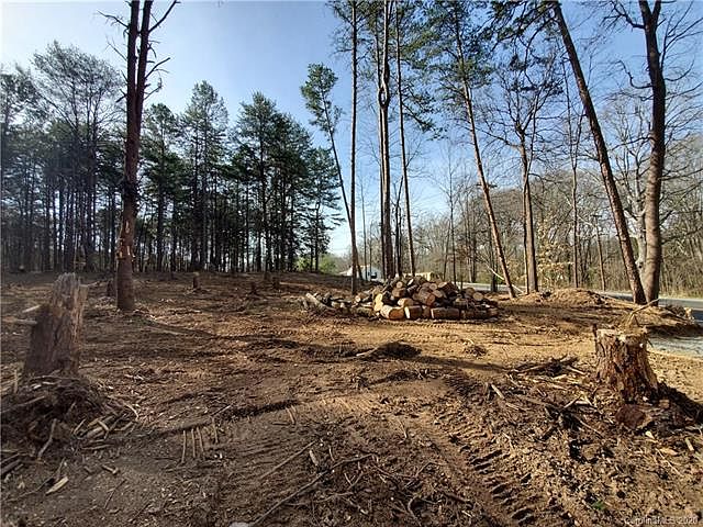 2nd image of 0 Flat Rock Rd