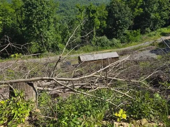 1384 Hidden Oaks Dr, Summersville, WV 26651