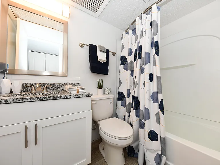Bathroom + Granite Counters