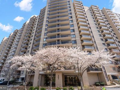 307 Yoakum Pkwy APT 1722, Alexandria, VA, 22304