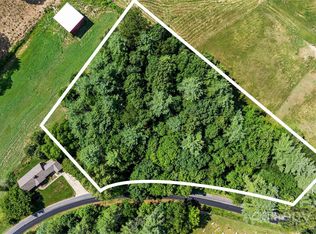 99999 Hazel Brook Rd, Marshall, NC 28753