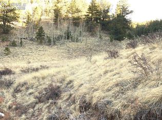 637 Valley Rd, Divide, CO 80814