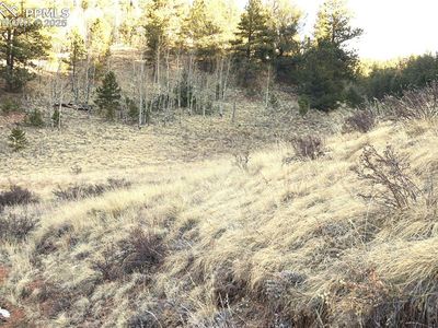 637 Valley Rd, Divide, CO, 80814