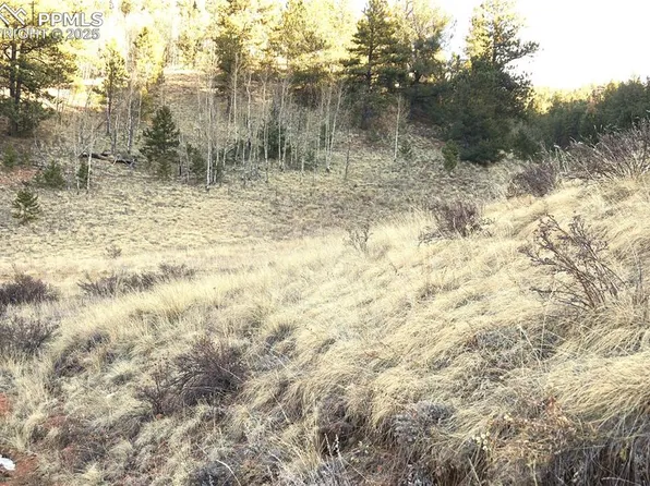 637 Valley Rd, Divide, CO 80814