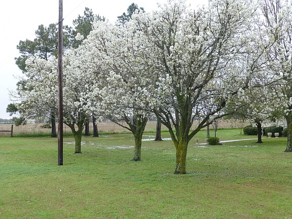 2330 Farm Road 275 S, Cumby 