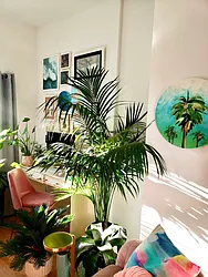 Rented by J PRESTON AND ASSOCIATES INC