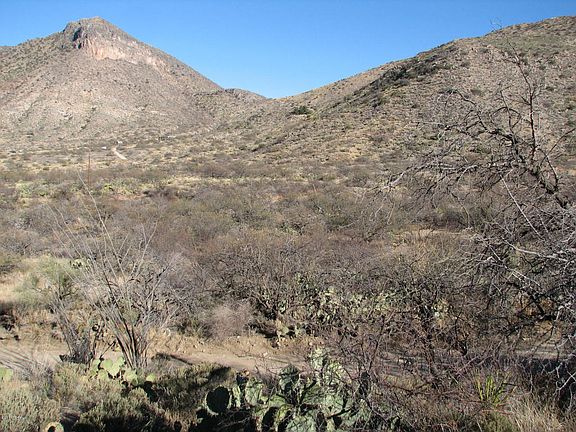 3rd image of 19000 E Old Sonoita Hwy