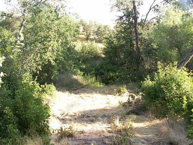 2nd image of 244 Culet Ranch Rd
