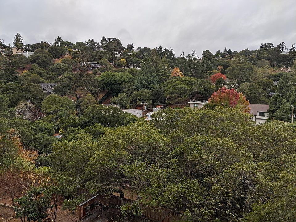 View from Living room