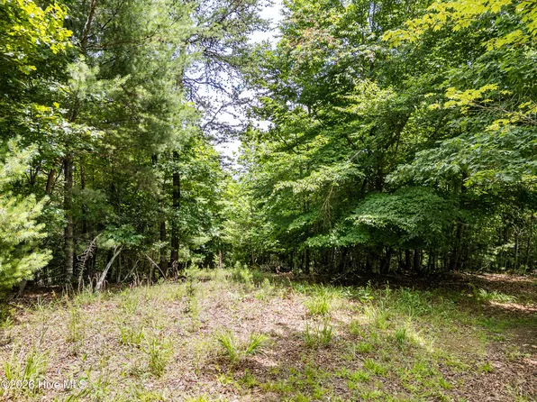 2 Stormy Rdg Lot 2, Brasstown, NC 28902