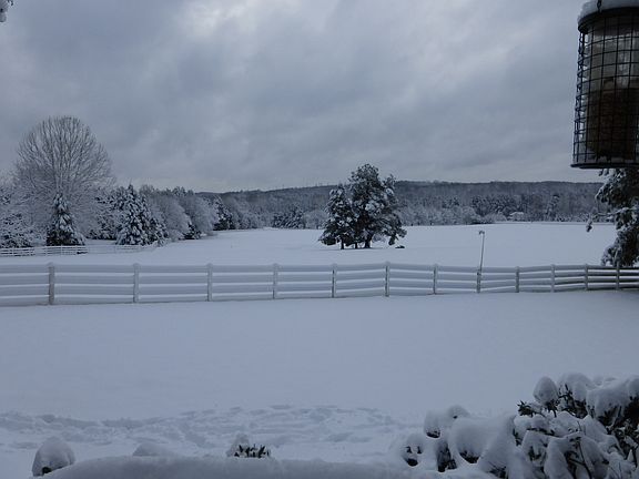 Rear View in January