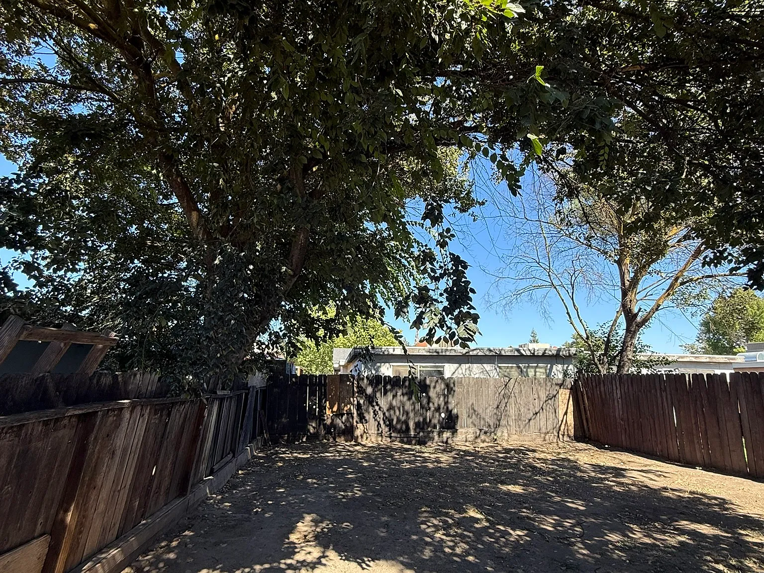 2 bed, 900 sqft, $1,850 — Photo 3