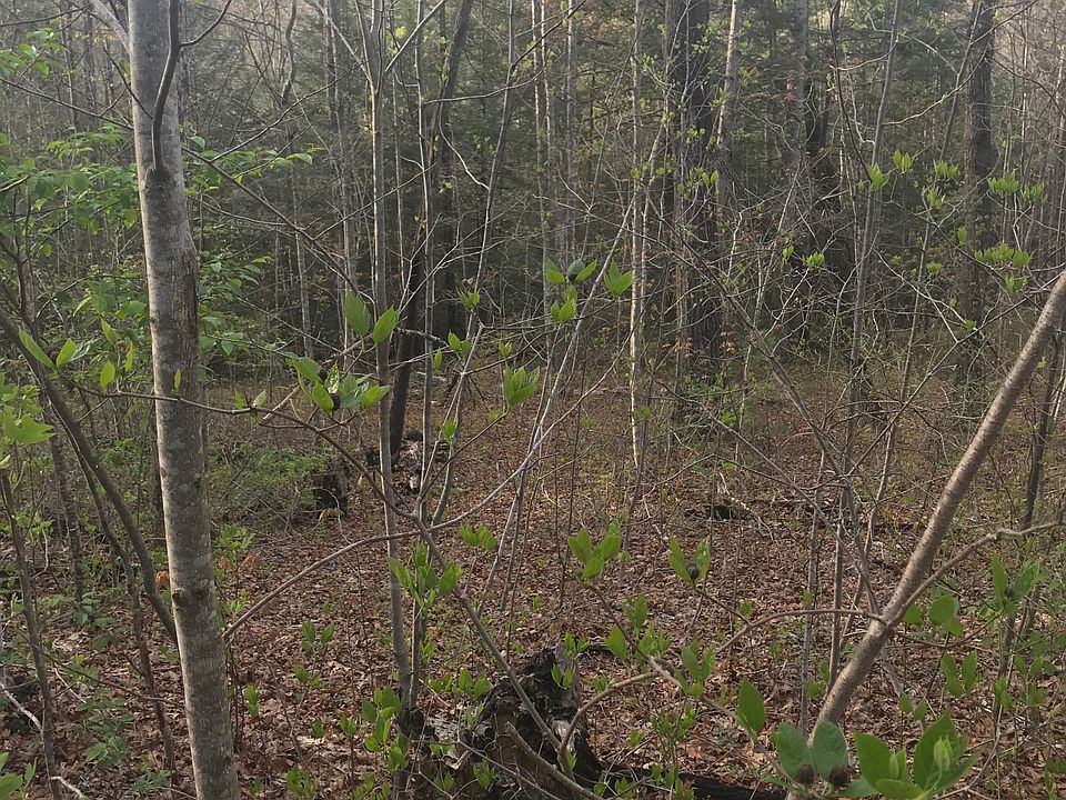 2nd image of 0 Brock Creek Trl #19