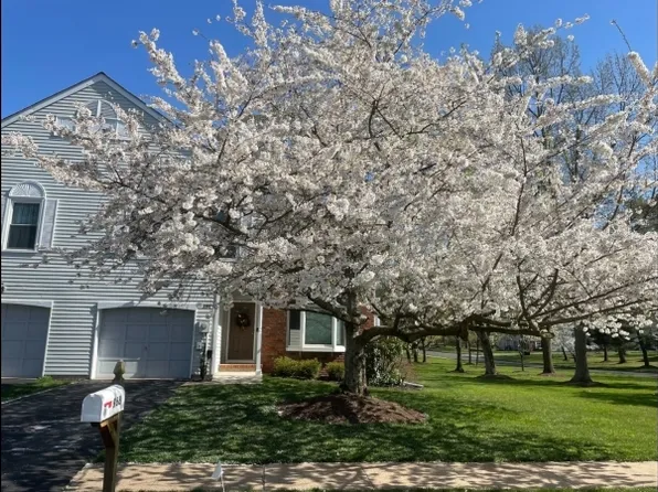 968 Concord Way, Branchburg Twp., NJ 08853