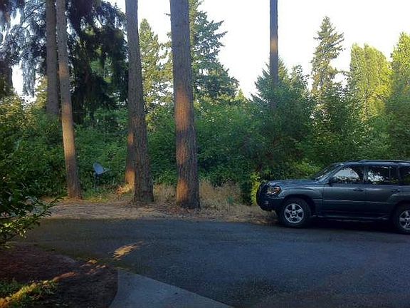 Front yard from house