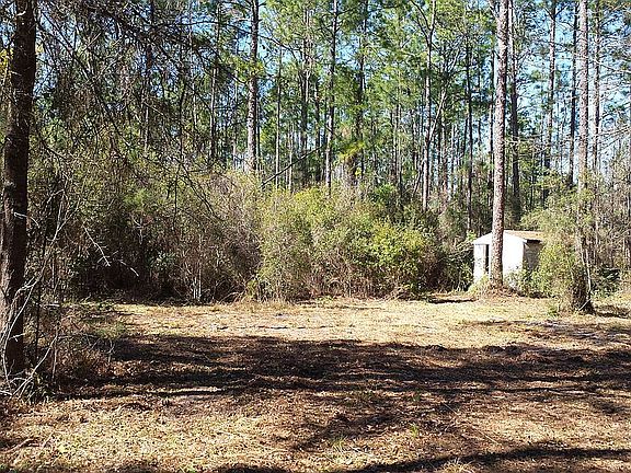 Old shed