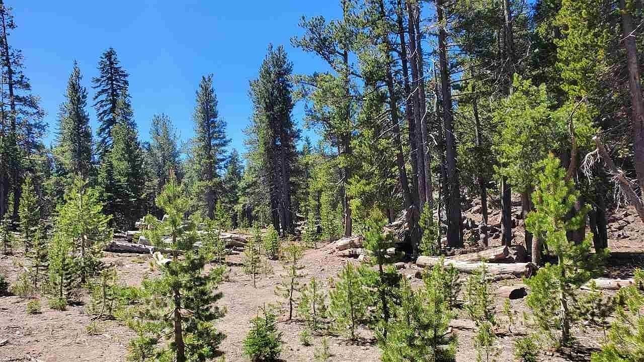 Haight Mountain, Macdoel, CA 96058 MLS 20240792 Zillow