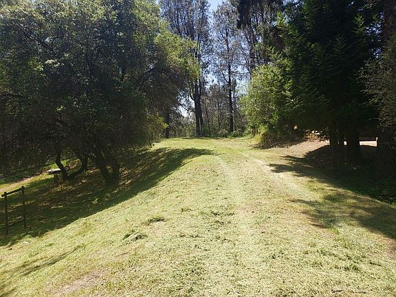 3rd image of 2716 Westville Trl