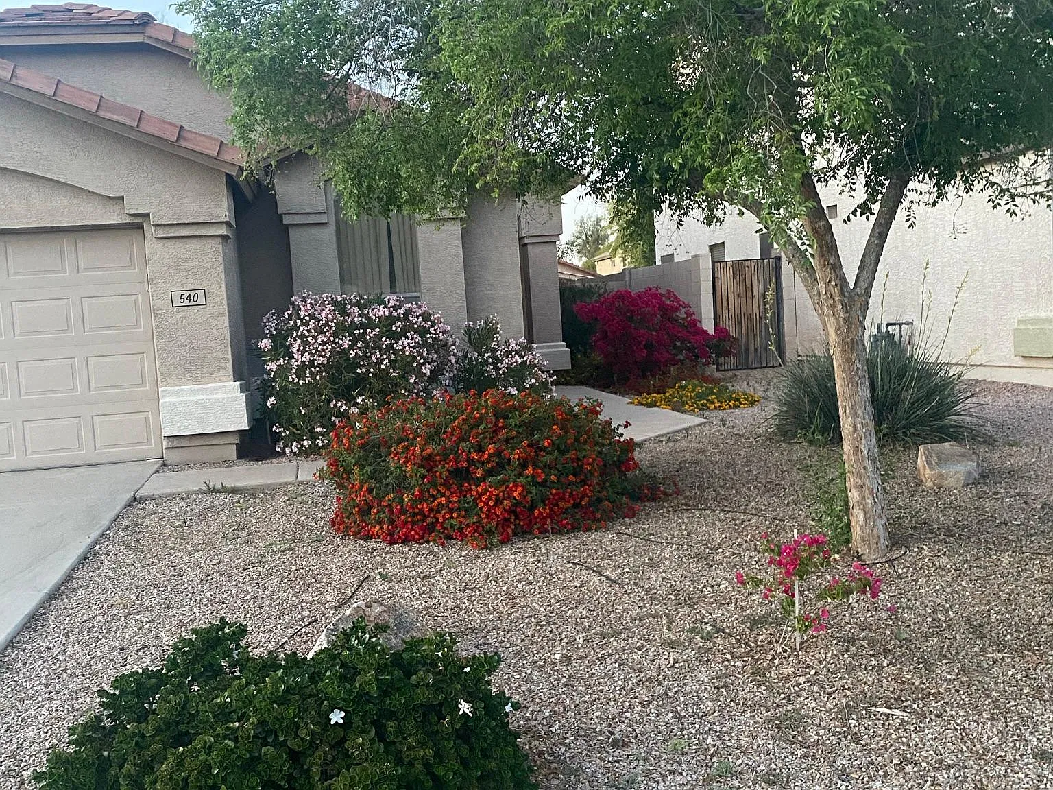3 bed, 1401 sqft, $2,250 — Photo 2