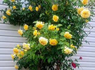 1634 Norton St, Rochester, NY 14609