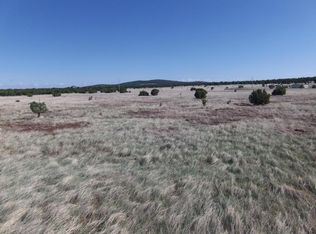 County Road 3144, Vernon, AZ 85938