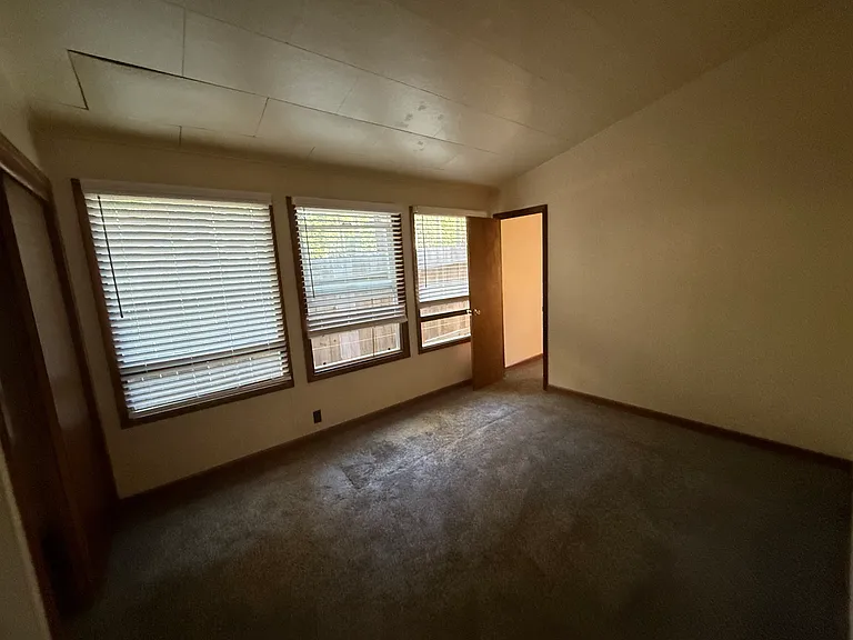 307 Pineland Dr — Photo 44