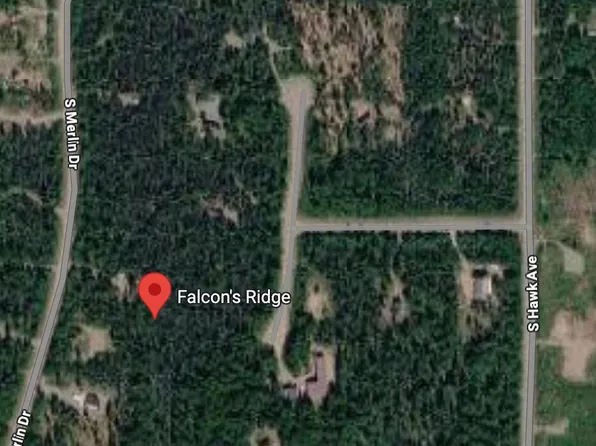 L10 B Falcons Rdg #4, Willow, AK 99688