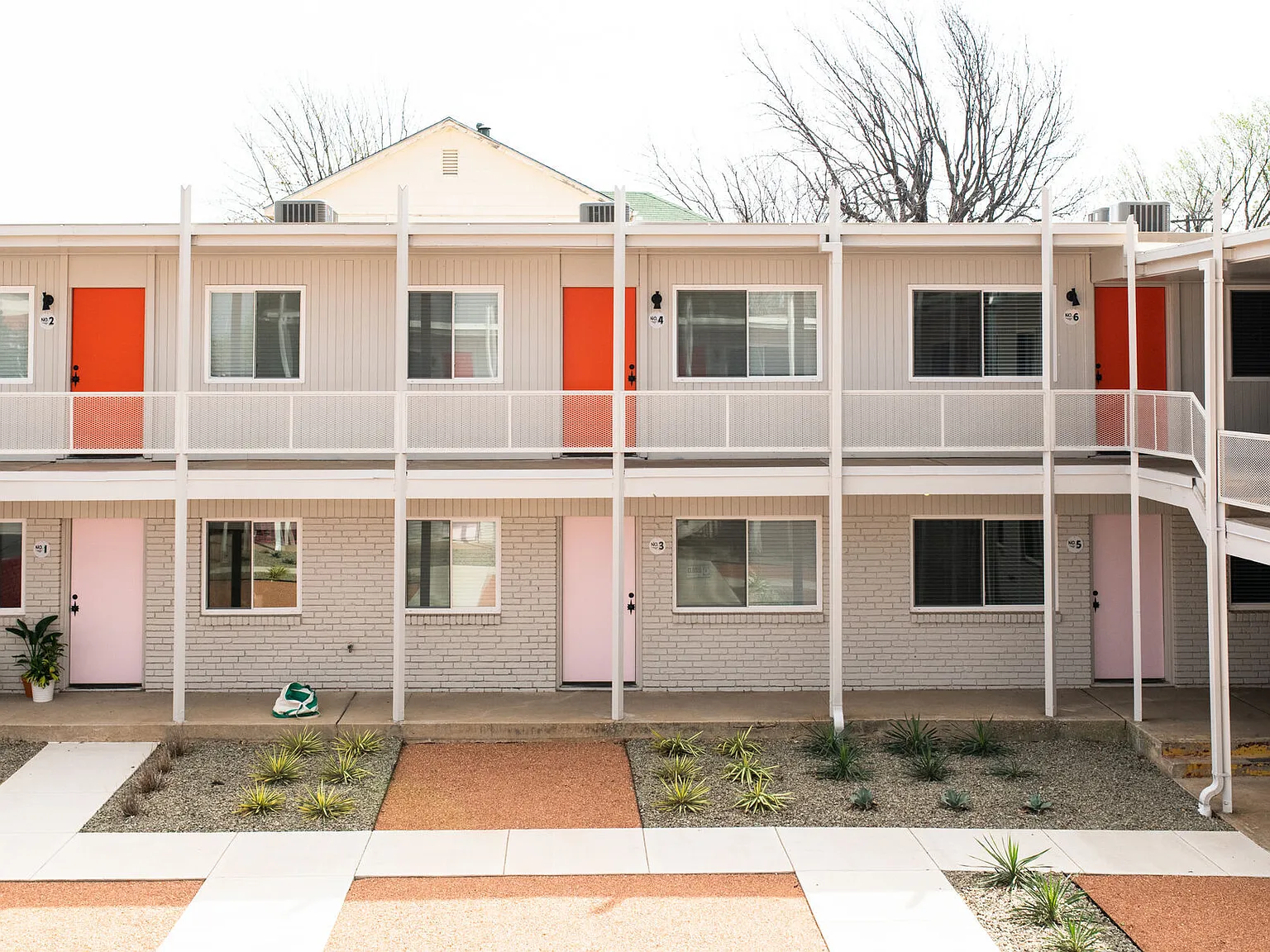 Flamingo — Photo 2