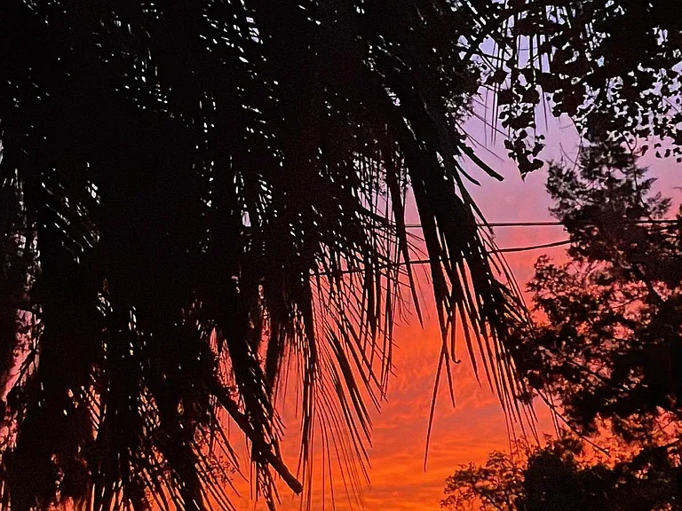 amazing sunsets in Riverview