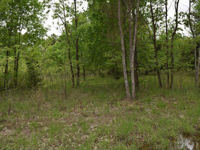 33 Belle Cove Rd, Mountain Home, AR, 72653