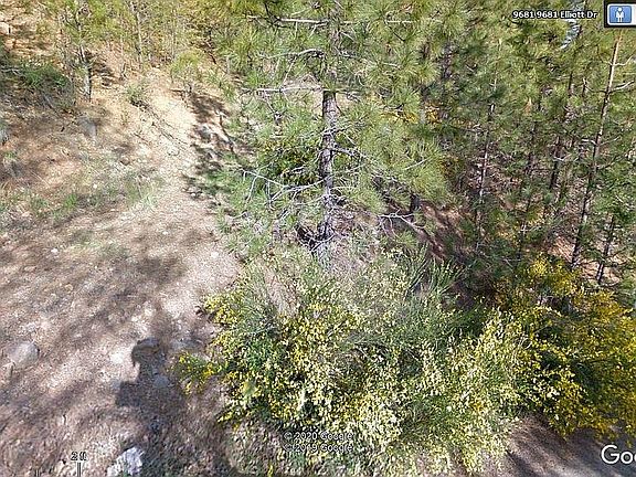 3rd image of 9681 Elliott Dr