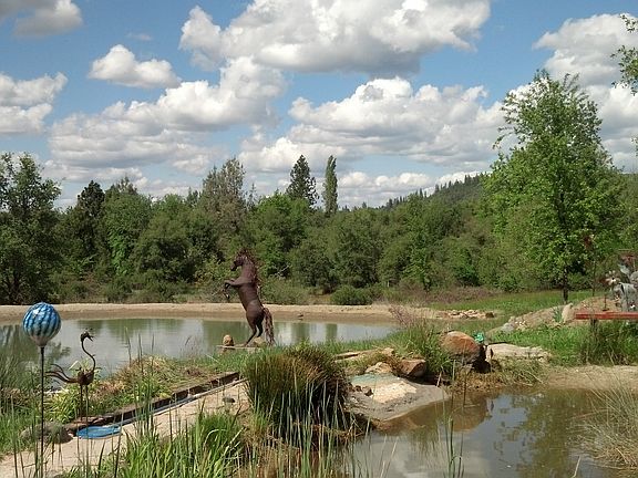 View of lake and pond