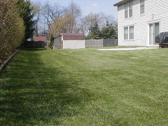 Back yard