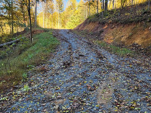 3rd image of 129 Oaks Rd