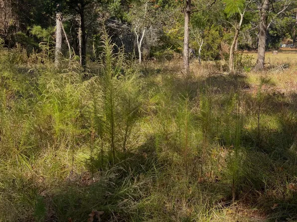1072 River Drive SW LOT 19, Calabash, NC 28467