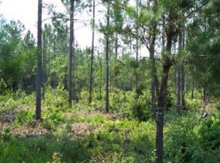 742 S 1st St, Jesup, GA 31545