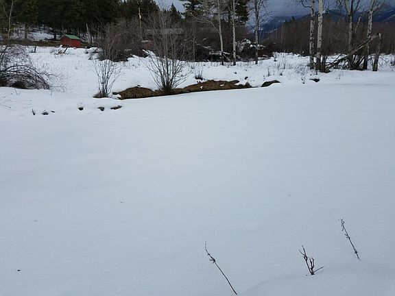3rd image of 16400 Highway 93 N