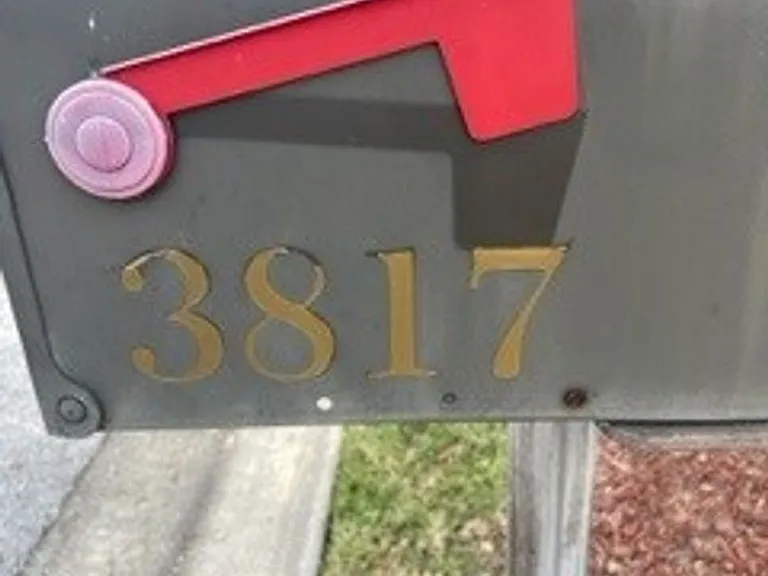 3817 Golden Feather Way — Photo 33